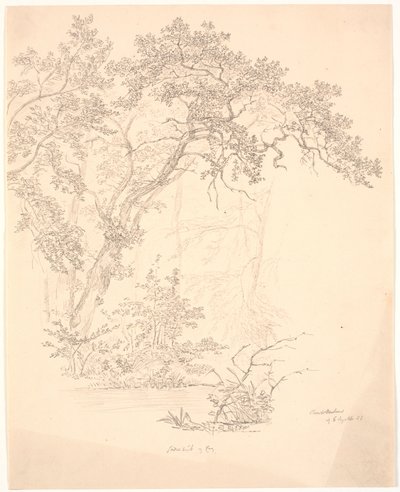 Bomen door J.P. Møller