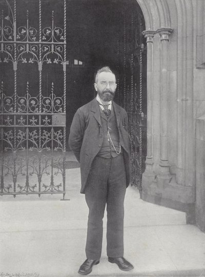 Mr. T. M. Healy door J. Benjamin Stone