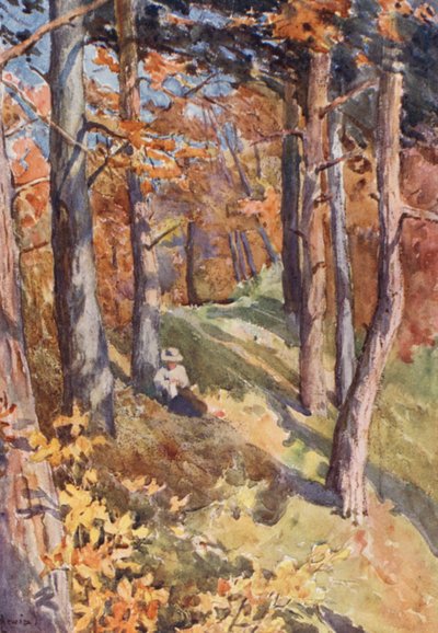 In het bos van Sauvabelin, boven Lausanne door J. Hardwicke Lewis