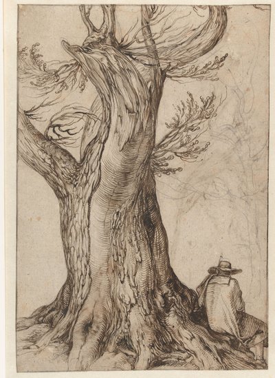 Studie van een boomstam door Jacob II de Gheyn
