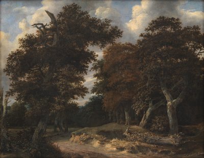 Weg door een Eikenbos door Jacob van Ruisdael