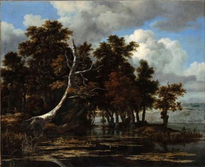 Eiken aan een meer met waterlelies door Jacob van Ruisdael