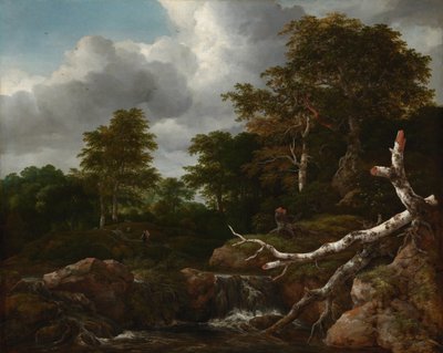 Bosscène, c.1655 door Jacob van Ruisdael