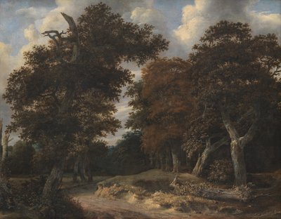 Weg door een eikenbos door Jacob van Ruisdael