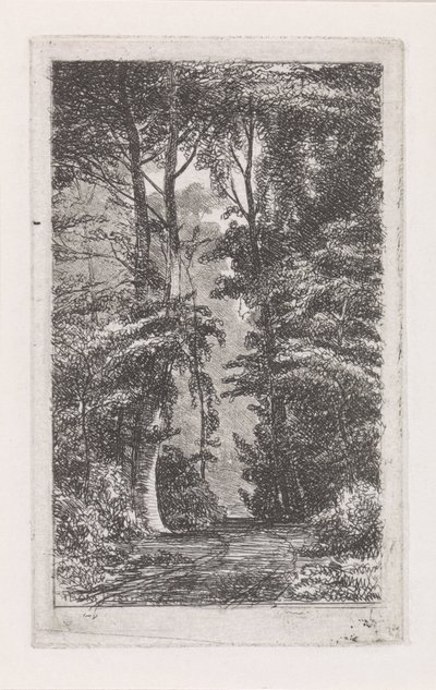 Boslaan door Jacob Jan van der Maaten