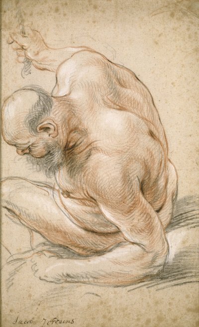 Naakte oude man zittend, leunend op zijn onderarm, naar links gericht door Jacob Jordaens