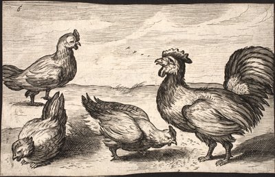 Een haan met drie hennen door Jacob Matham