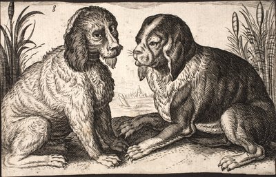 Twee honden aan een meer door Jacob Matham