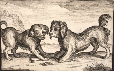 Twee kleine honden door Jacob Matham
