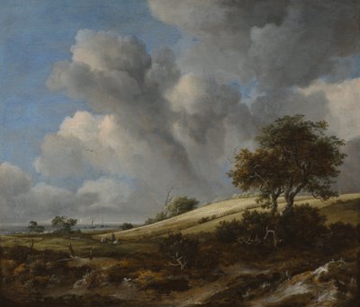 Een Korenveld met de Zuiderzee op de achtergrond, c. 1660 door Jacob van Ruisdael