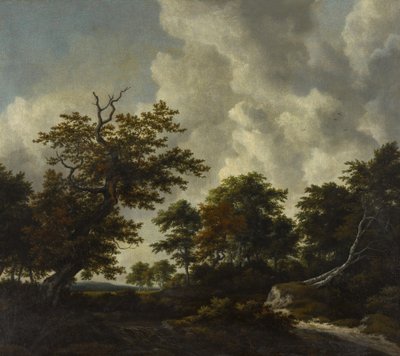 Bosachtig landschap met een grote eik en twee omgevallen beuken bij een waterval door Jacob van Ruisdael