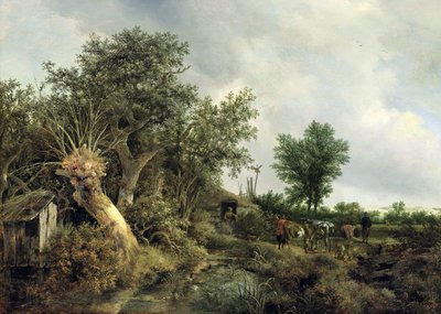 Landschap met een Hut, 1646 door Jacob van Ruisdael