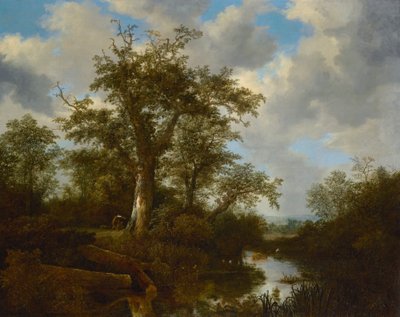 Boslandschap met vee dat een beek oversteekt door Jacob van Ruisdael