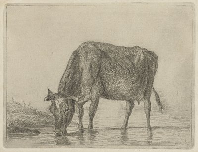 Drinkende koe door Jacobus Cornelis Gaal