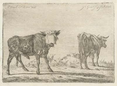 Geblinddoekte stier bij kudde runderen door Jacobus Cornelis Gaal