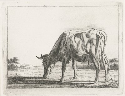 Grazende koe door Jacobus Cornelis Gaal