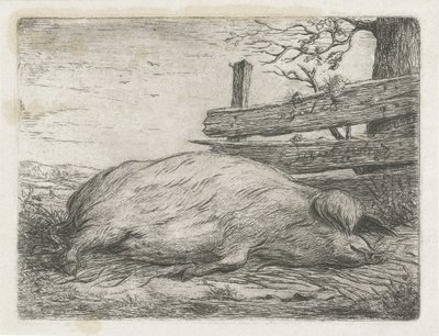 Liggend everzwijn door Jacobus Cornelis Gaal
