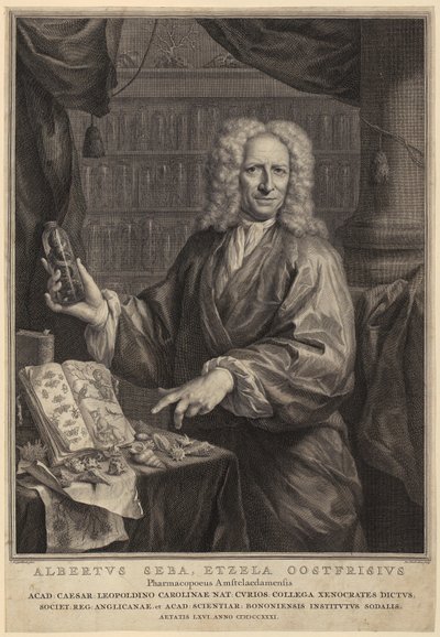  door Jacobus Houbraken