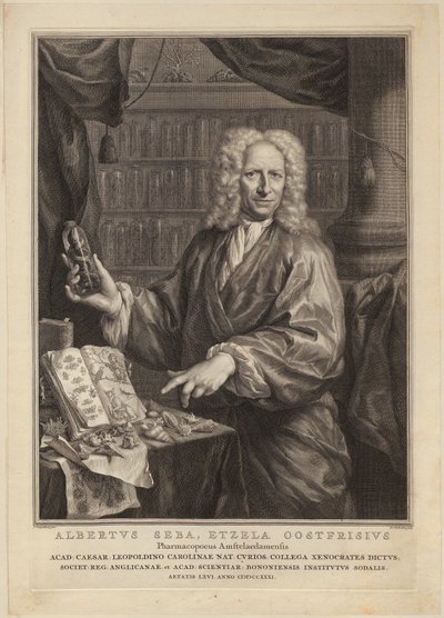  door Jacobus Houbraken