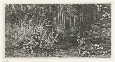 Bosbeekje door Jacobus Ludovicus Cornet