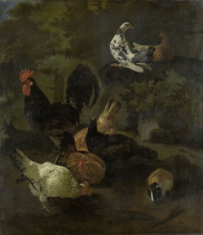 A Cock door Jacomo (1640-1705) Victors