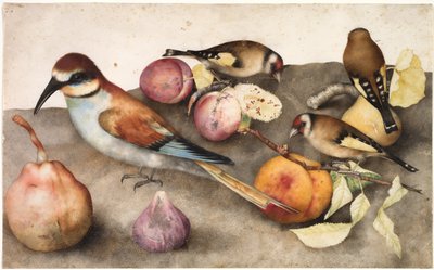 Stilleven met Vogels en Fruit, c. 1650 door Jacopo Ligozzi