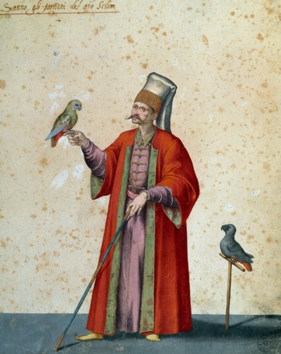 Usher naar grote selim met papegaaien, tekening door Jacopo Ligozzi (1547-1627) door Jacopo Ligozzi