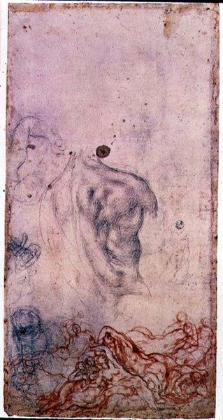 Studie voor een portret van Cosimo I Giovinetto met andere studies van kronkelende lichamen door Jacopo Pontormo