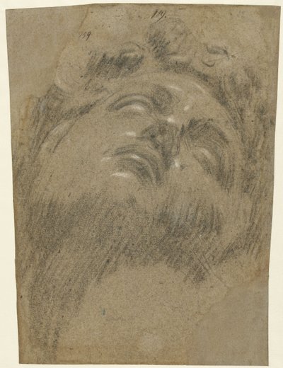 Giuliano dei Medici naar Michelangelo door Jacopo Robusti Tintoretto