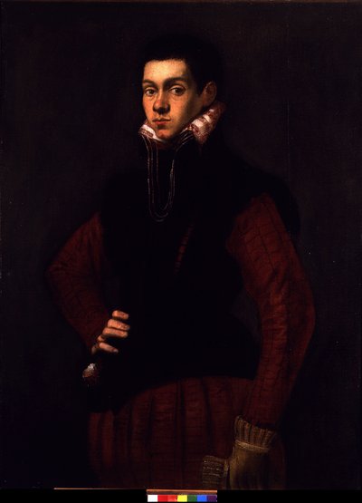 Portret van een jonge man, ca. 1565 door Jacopo Robusti Tintoretto