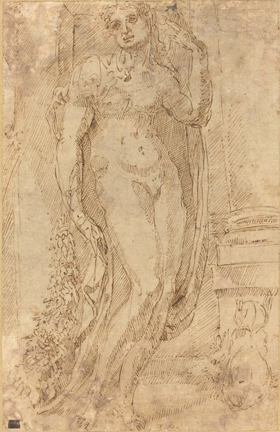Allegorisch Figuur met een Kat en een Varken door Jacopo di Giovanni