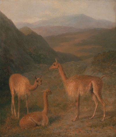 Vicuñas door Jacques-Laurent Agasse