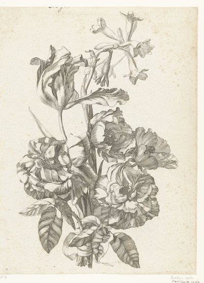 Boeket met pioenrozen, een tulp en een brodiaea door Jacques Bailly (I)