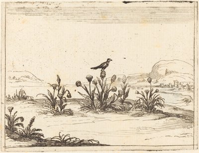 Vogel op een Distel door Jacques Callot