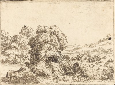 Schaap Roept Lam door Jacques Callot