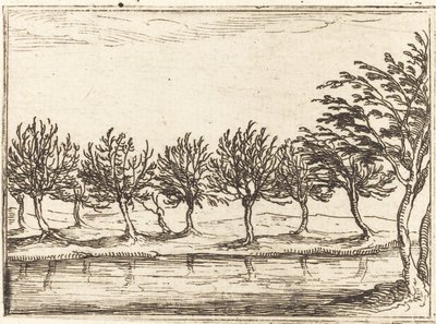 Wilgen aan de waterkant door Jacques Callot