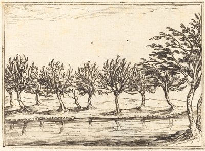 Wilgen aan de waterkant, 1628 door Jacques Callot