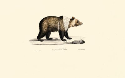  door Jacques Christophe Werner