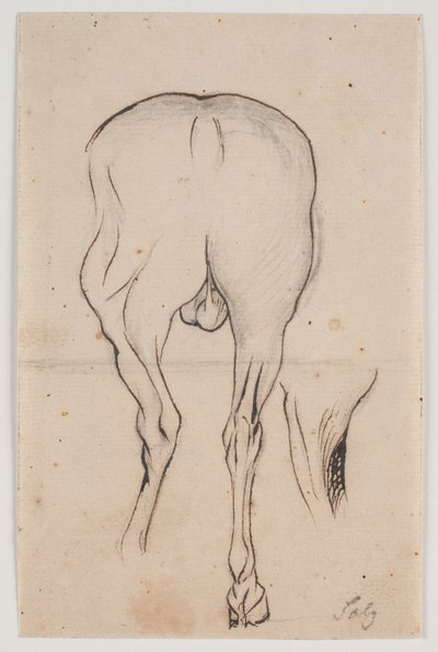 Paard van achteren gezien en een paardenbeen door Jacques Francois Joseph Saly