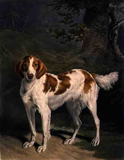 Dash, gegraveerd door Charles Turner, uitgegeven door R. Ackermann Jnr. door Jacques Laurent (after) Agasse