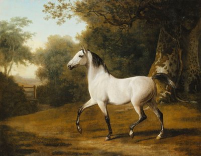 Een grijze Arabische hengst in een bosrijk landschap door Jacques Laurent Agasse