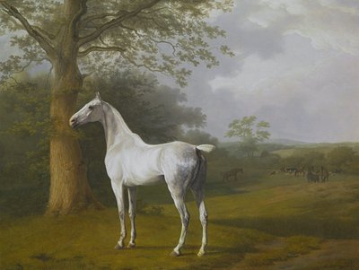 Grijs paard in de wei door Jacques Laurent Agasse