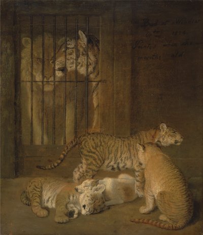 Groep welpen gefokt tussen een leeuw en een tijgerin door Jacques Laurent Agasse