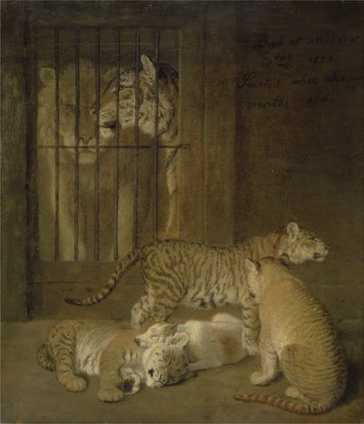 Groep welpen gefokt tussen een leeuw en een tijgerin door Jacques Laurent Agasse