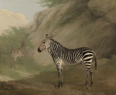 Zebra door Jacques Laurent Agasse