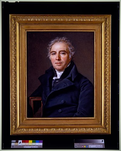 Een portret van D.V. Ramel de Nogaret door Jacques Louis David