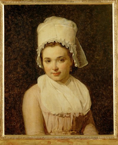 Catherine-Marie-Jeanne Tallard, echtgenote van Francois Lamy, burgemeester van Sougere/Yonne ... door Jacques Louis David