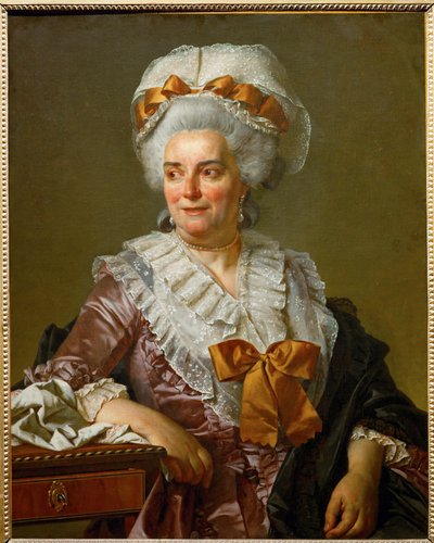 Genevieve Jacqueline Pecoul, de schoonmoeder van de schilder ... door Jacques Louis David