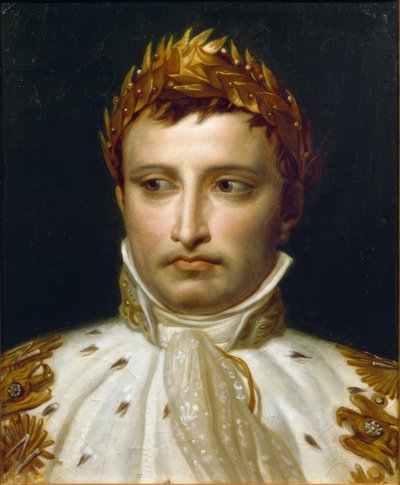 Napoleon I in kroningsregalia door Jacques Louis David