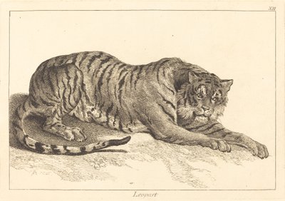 Luipaard of Tijger door Jacques Philippe Le Bas and Jean Eric Rehn after Jean Baptiste Oudry